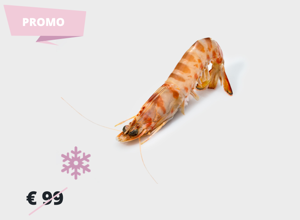 raw fish Tiger prawns 