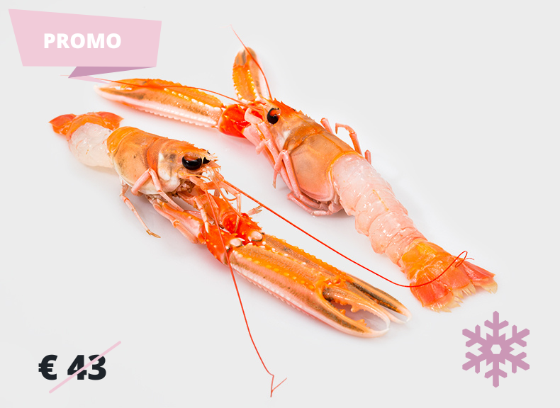 raw fish Langoustine